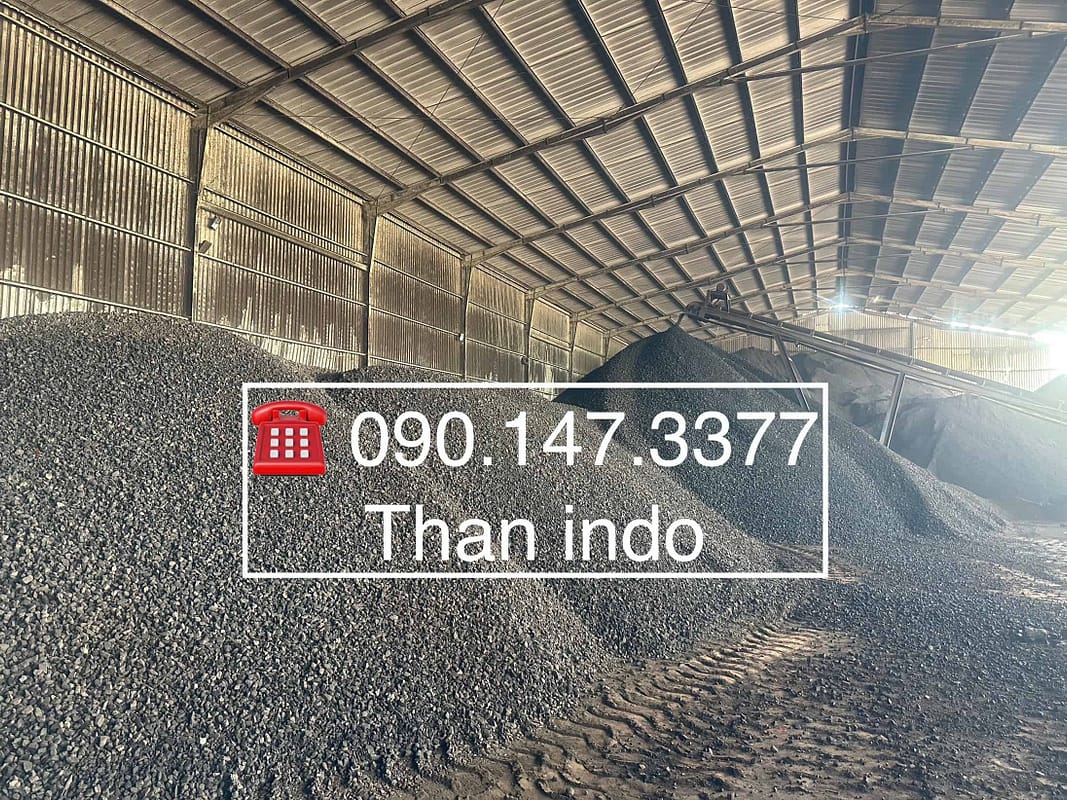 giá than indo mới nhất