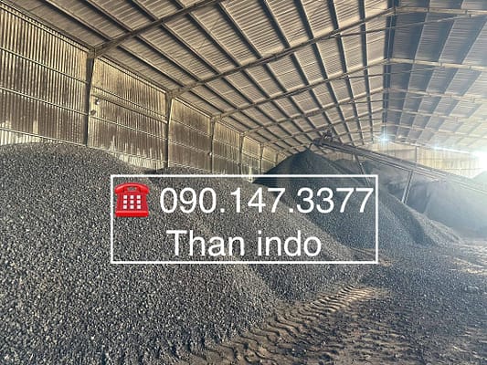 thanindo.com